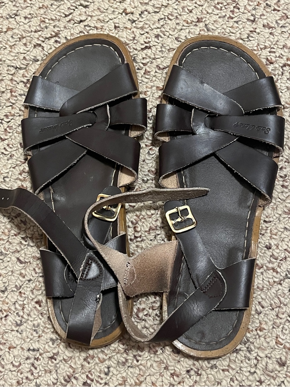 Dark Brown Saltwater Sandals W7
